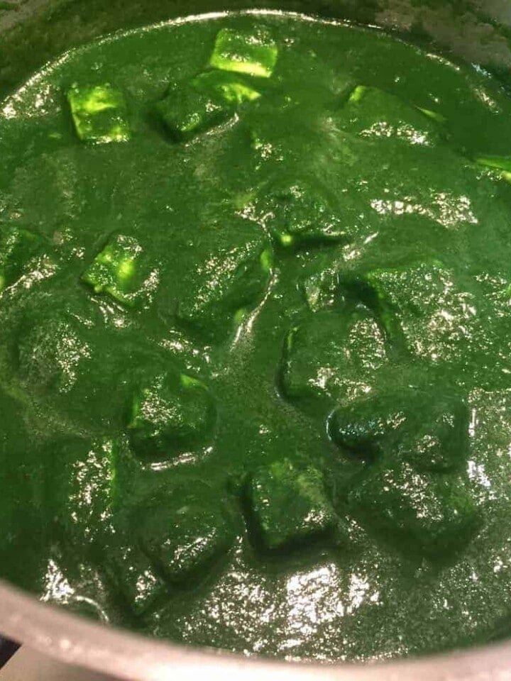 Palak paneer