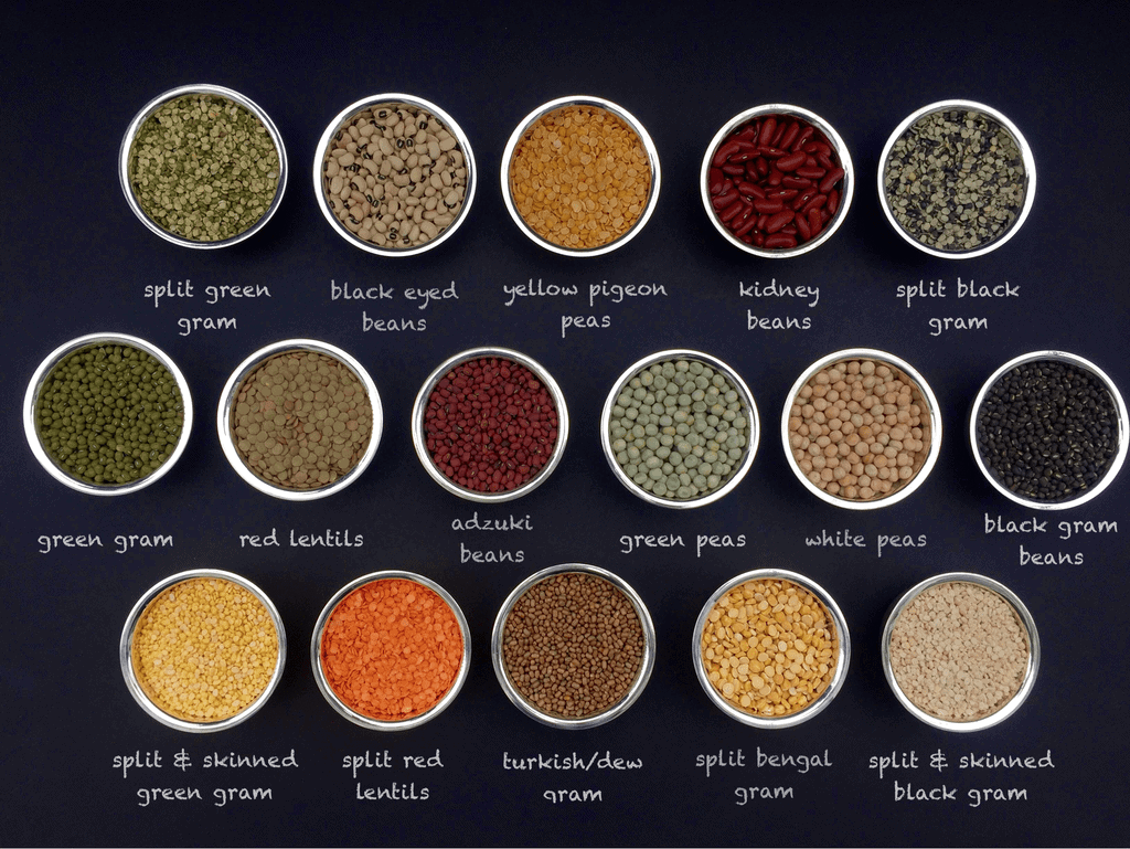 Indian Pulses - Lentils and Beans 