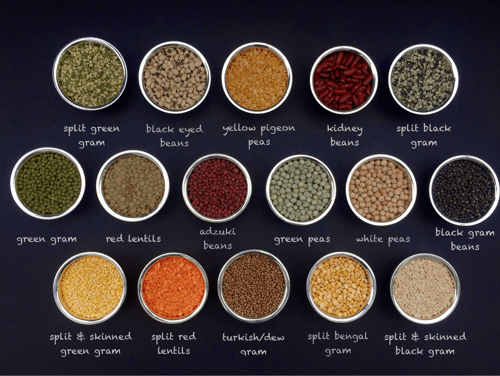 Indian Cooking 101: Different Types of Indian Dals (Legumes