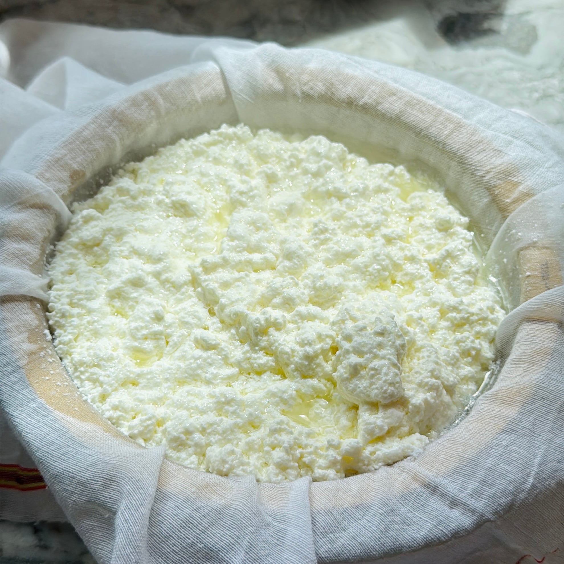 Fresh ricotta cheese curds draining in a cheesecloth-lined colander on a marble surface, with visible whey separating from the curds.