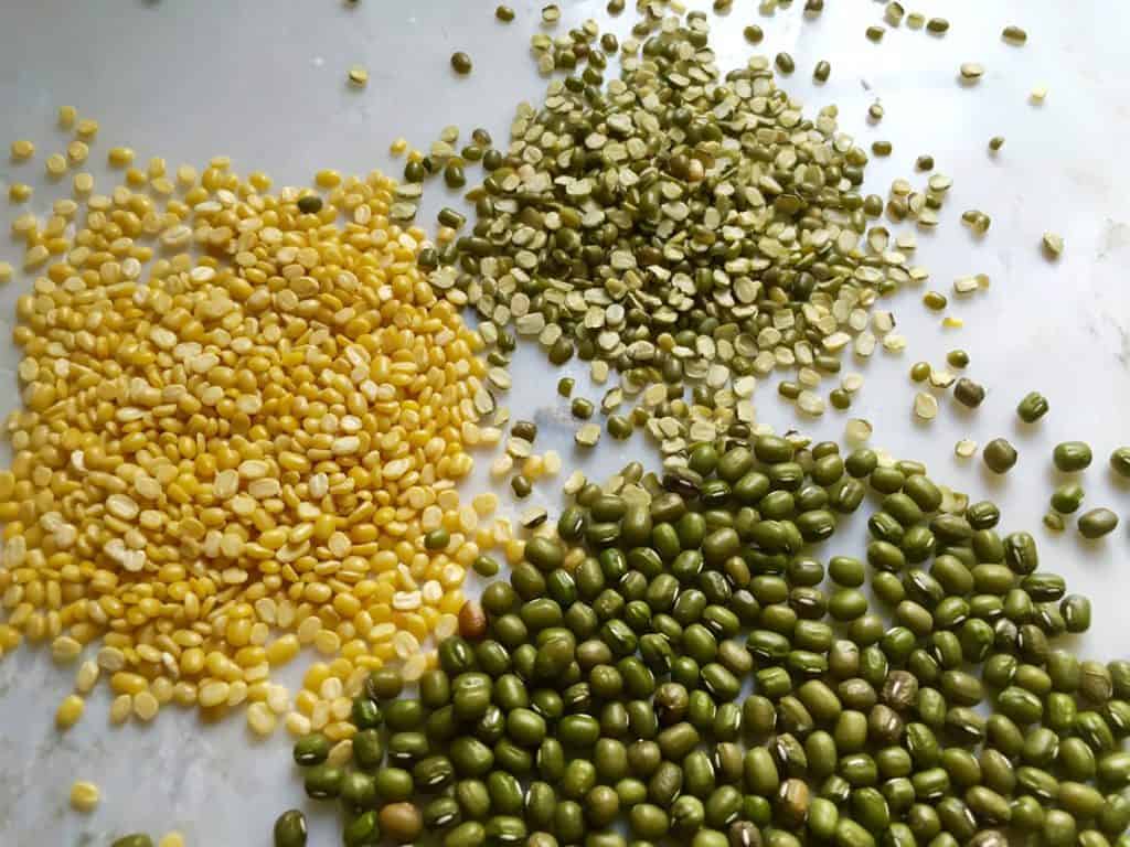 pulses - haricots mungo