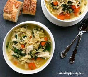 easy chicken noodle soup