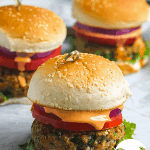 cropped-Spicy-Masala-Chicken-Burgers.png
