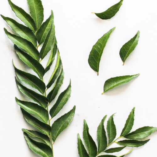 curry leaves and sprigs