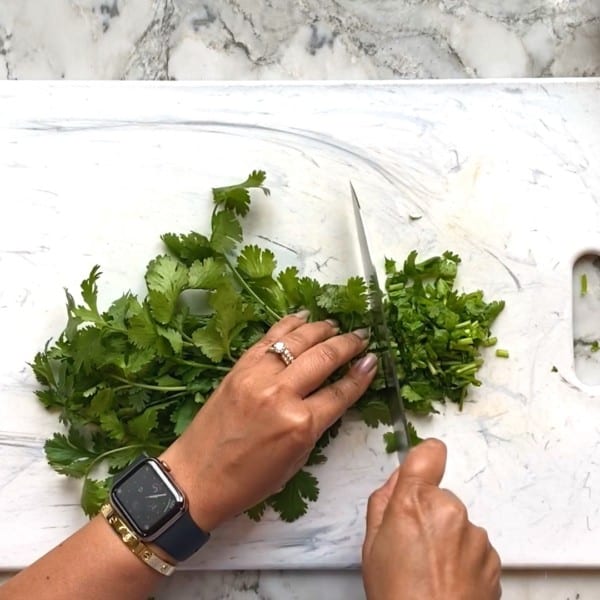 Fresh Cilantro | How to Prep &amp; Store - Ministry of Curry