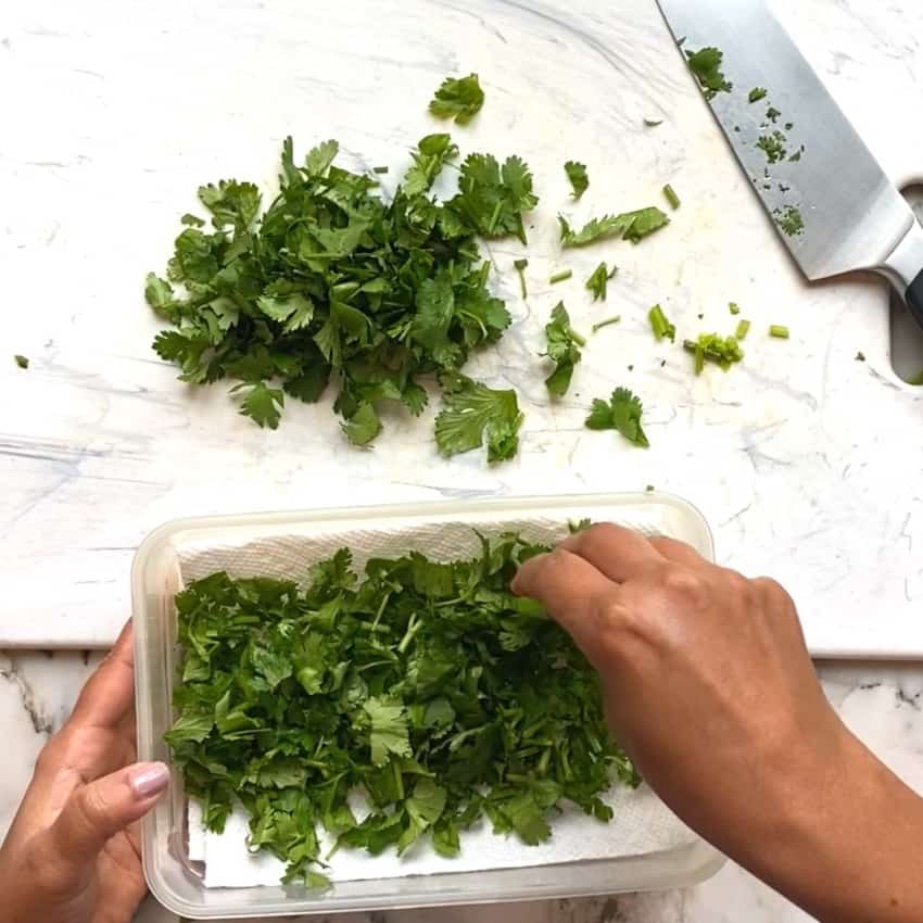 storing cilantro in a container 