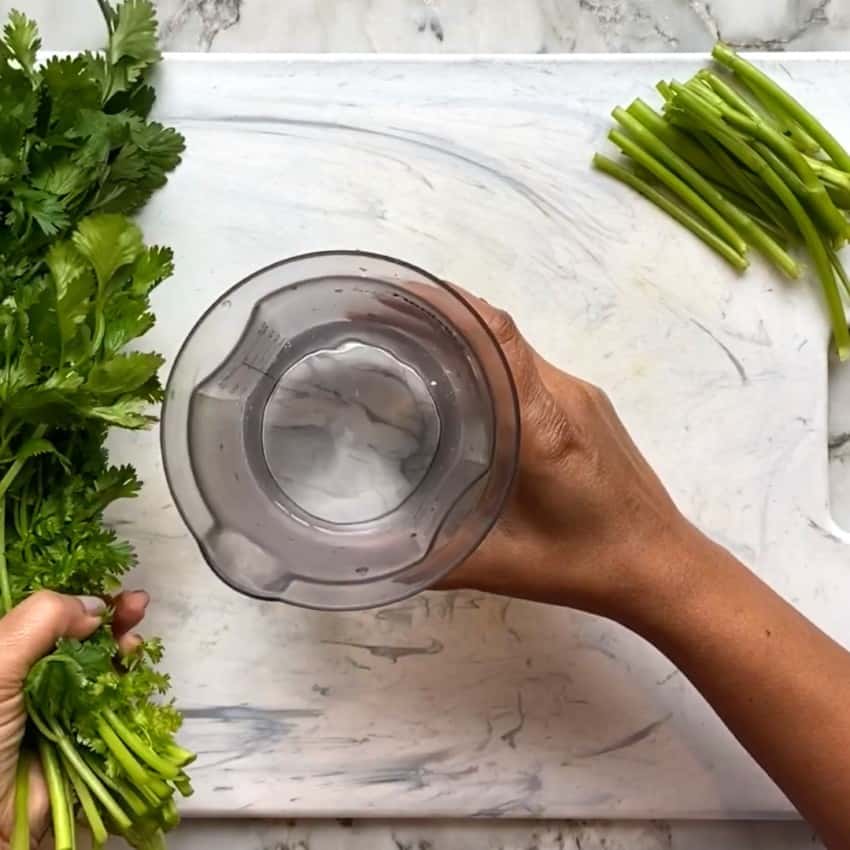 cup of water with a cilantro bunch 