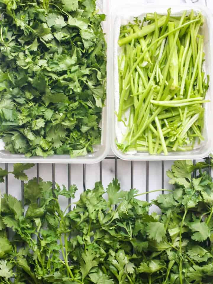 fresh cilantro and stems