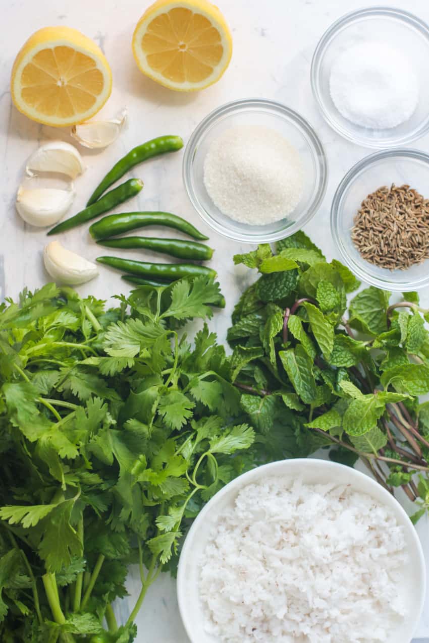 Ingredients for cilantro mint chutney 