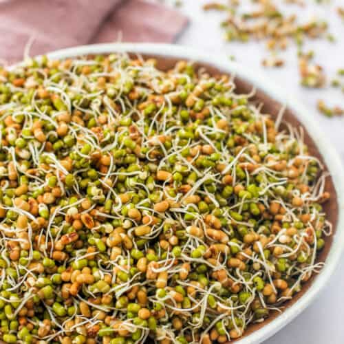 sprouted moth and mung beans