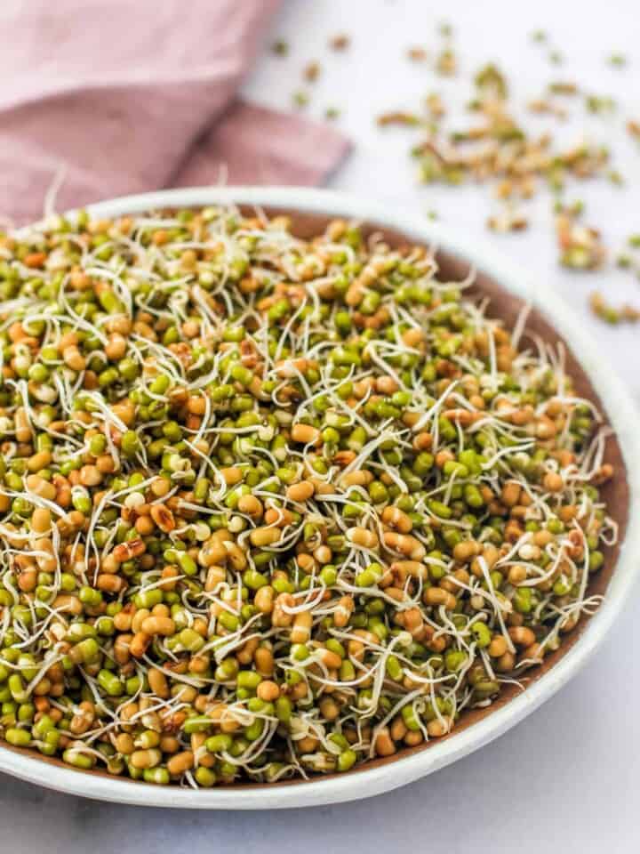 sprouted moth and mung beans