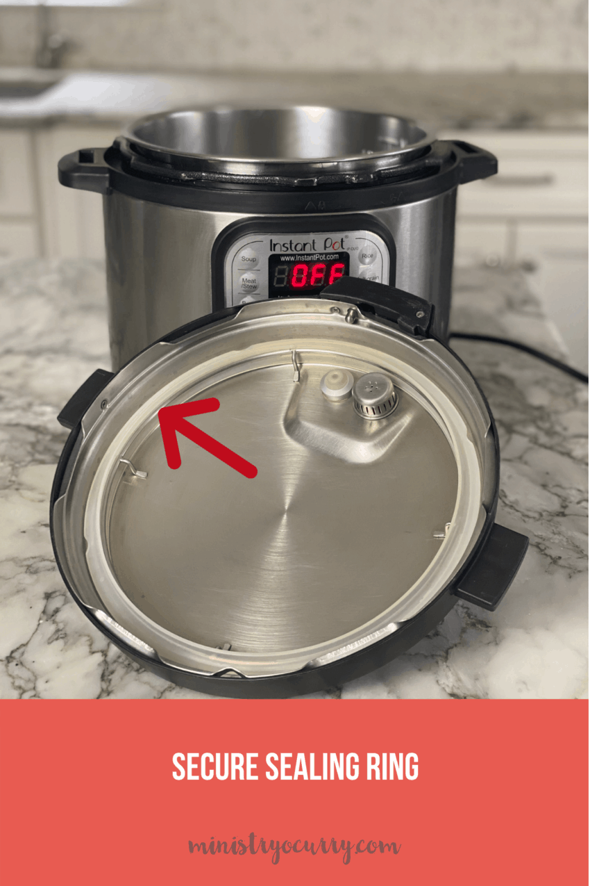 Instant Pot Initial Water Test Run - Ministry of Curry