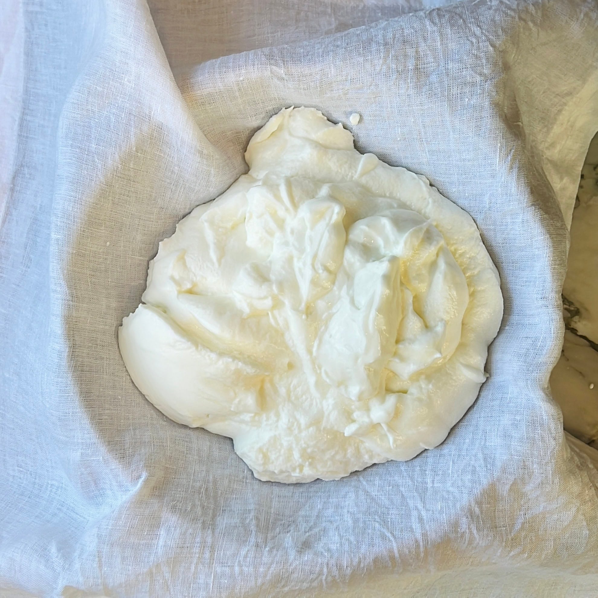 Thick white yogurt resting on a piece of cheesecloth, being strained to remove excess liquid.