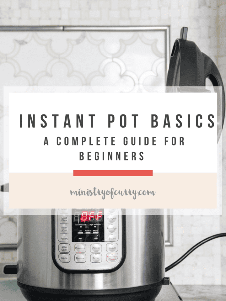 instant pot basics guide image
