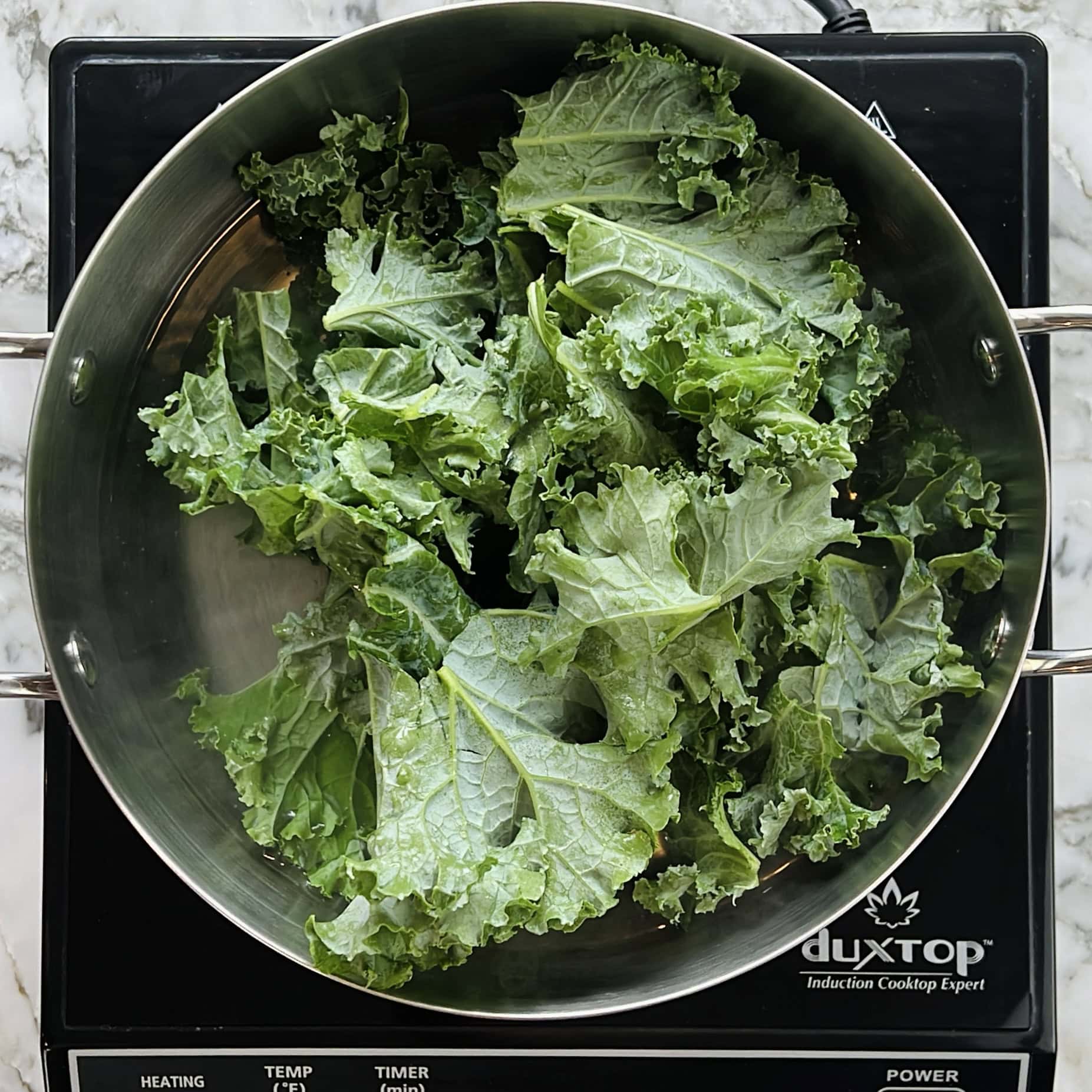 Fresh kale leaves in a stainless steel pan on an induction cooktop, ready to be cooked.