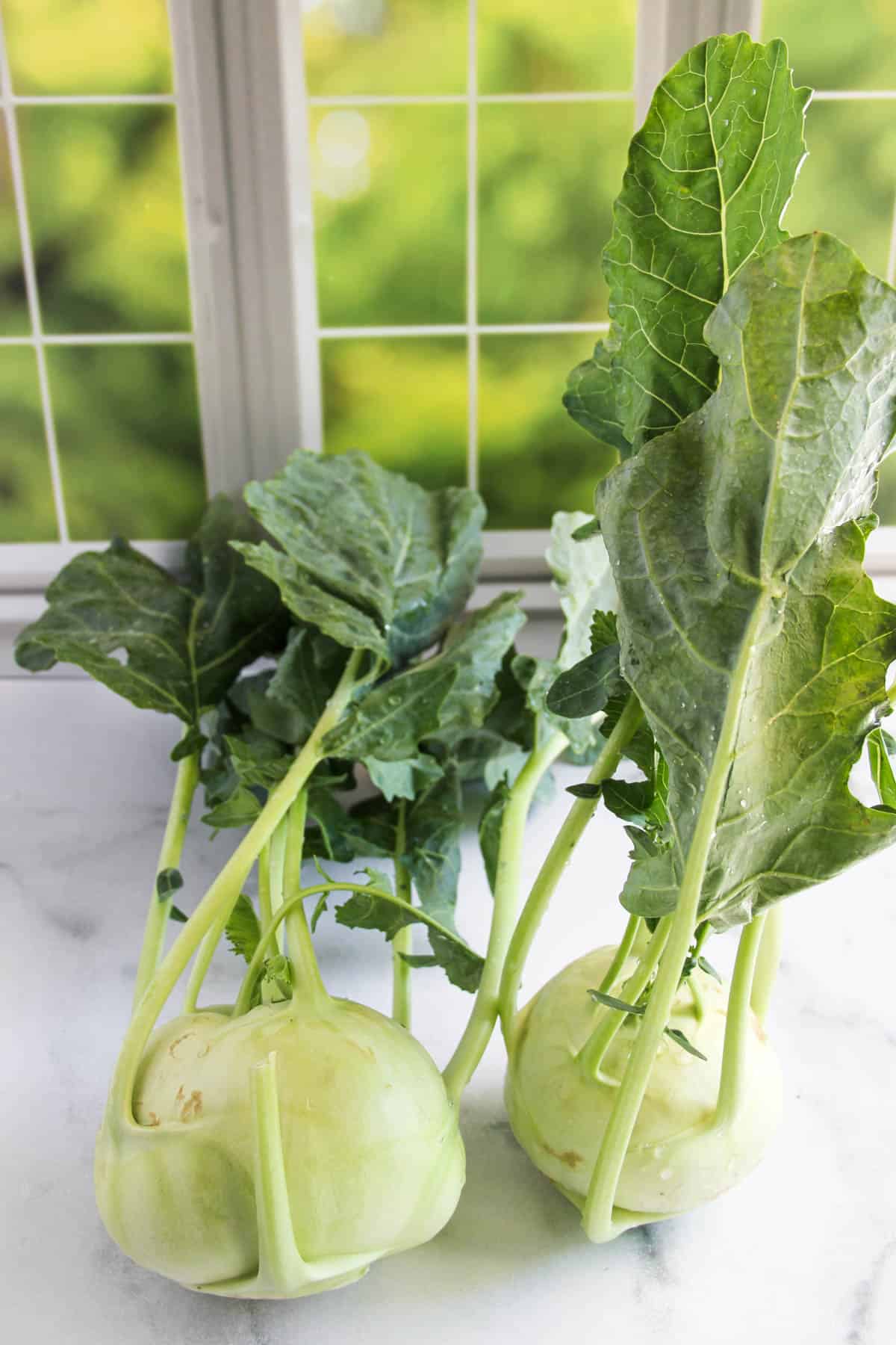 two kohlrabi  with stems and leaves 