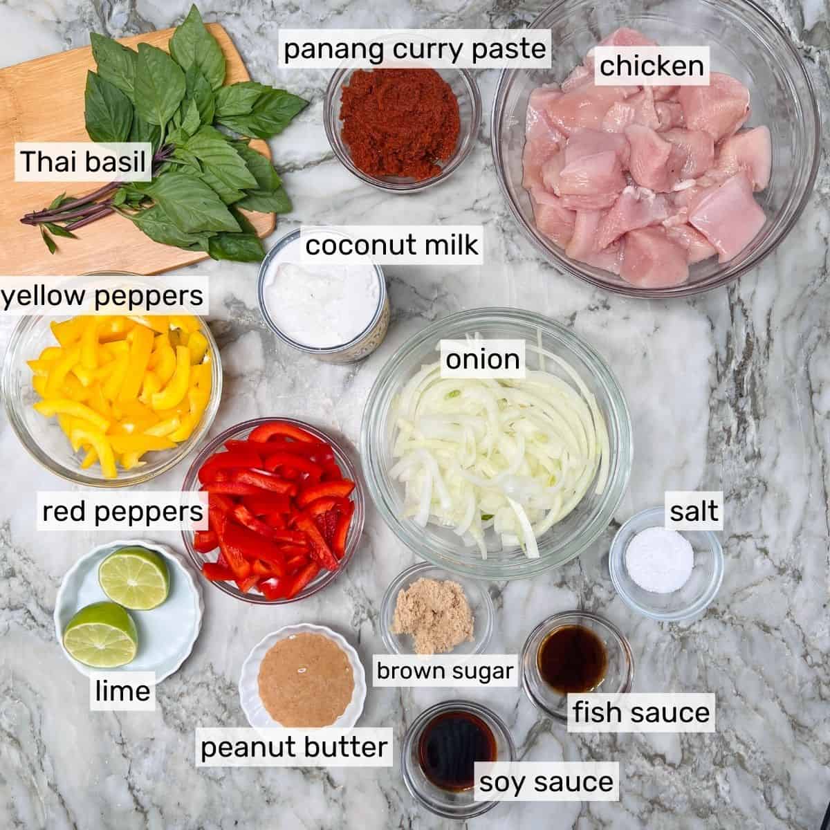 ingredients to make Thai Panang Chicken Curry
