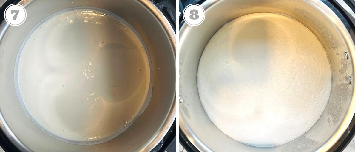 photos seven through eight showing fermented dosa batter in the Instant pot 