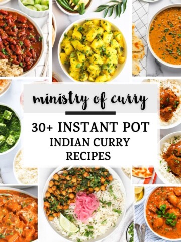 photo collage of Indian curry recipes
