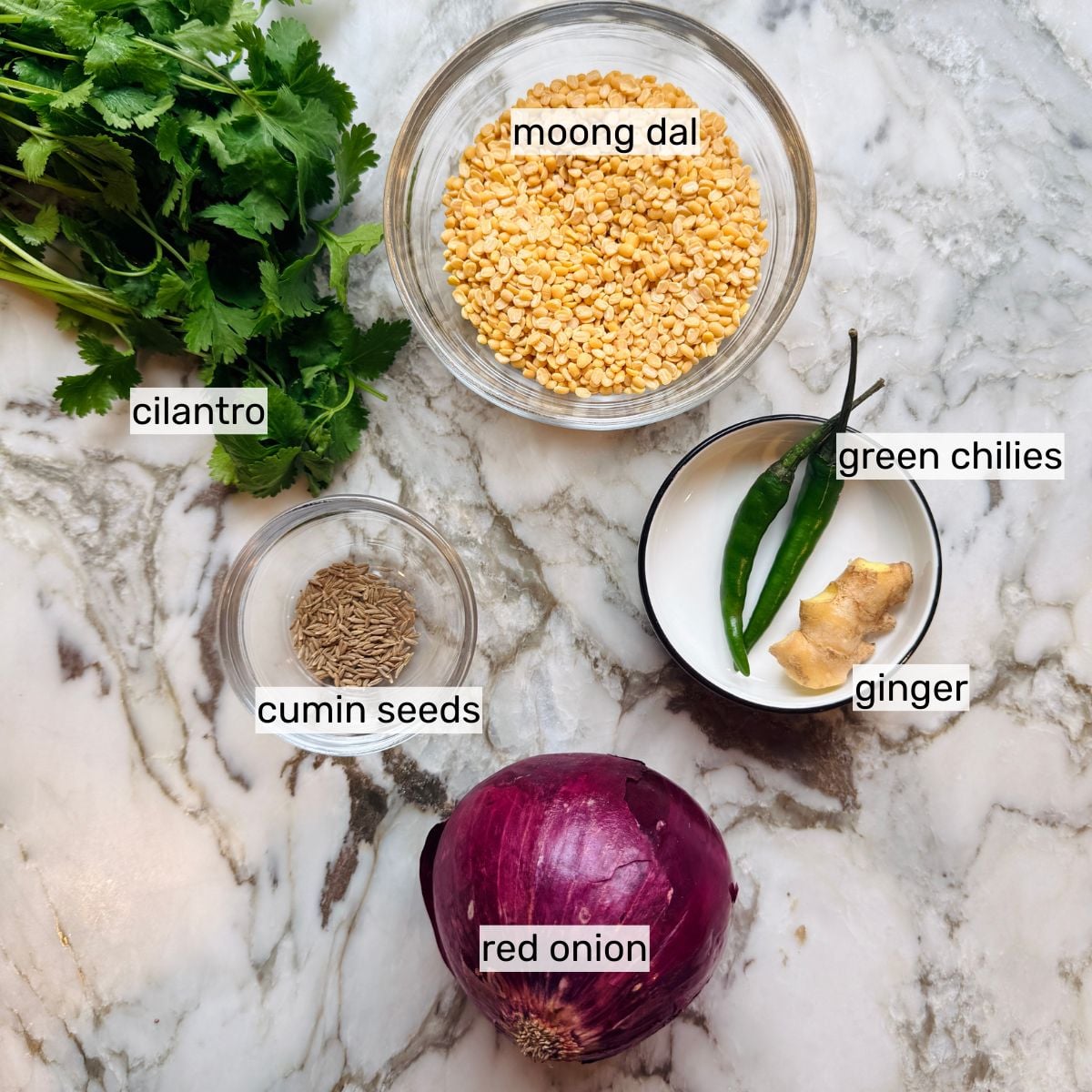 A bunch of cilantro, a bowl of moong dal, green chilies and ginger, cumin seeds, and a whole red onion are arranged on a marble surface.
