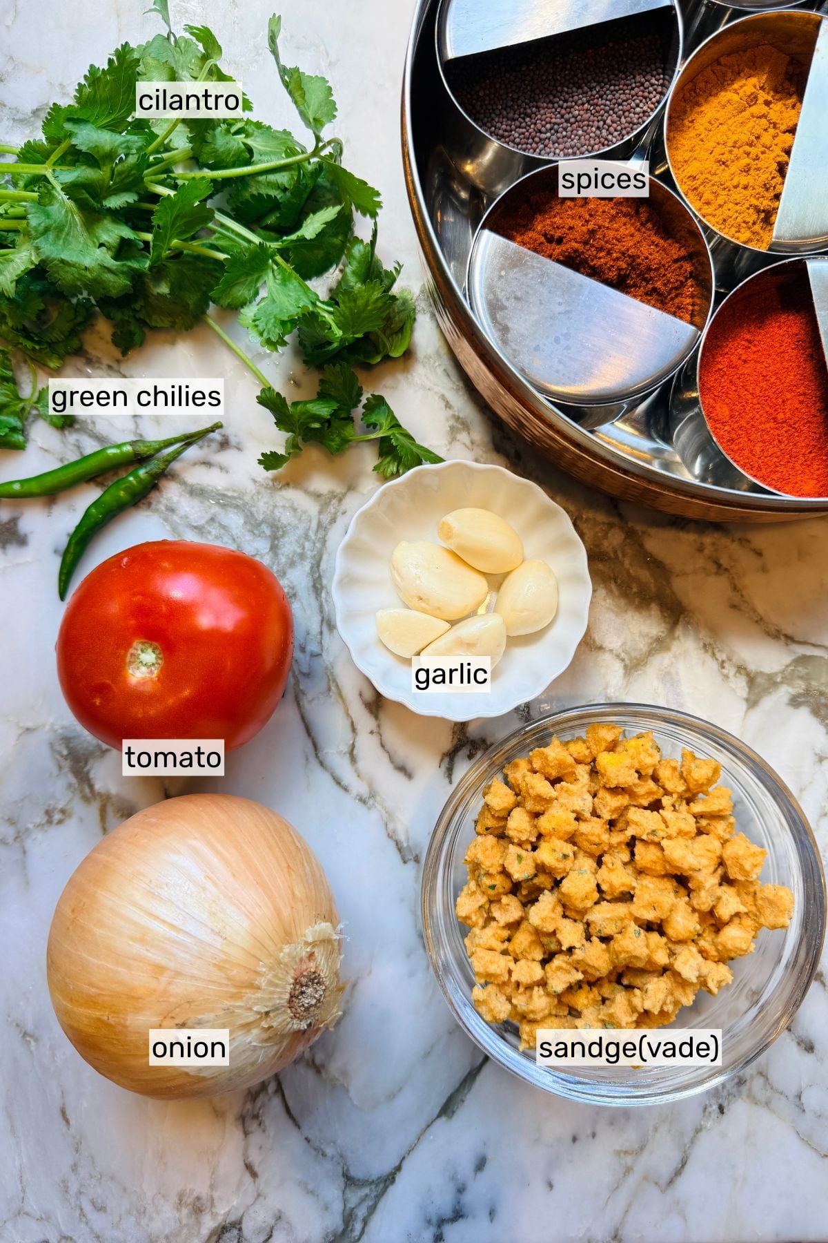 Labeled ingredients on a marble surface: cilantro, green chilies, tomato, onion, garlic, a bowl of sandge (vade), and a spice box with various spices.