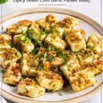 A plate of cubed paneer tossed in spicy green chili garlic seasoning and garnished with fresh cilantro.